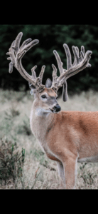 Screenshot_20240921-223135